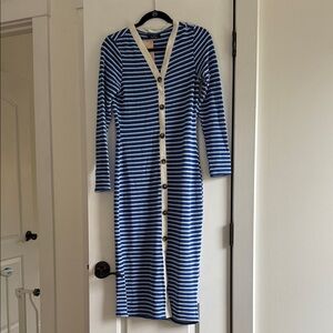 Blue and White Striped Button-Down Dress